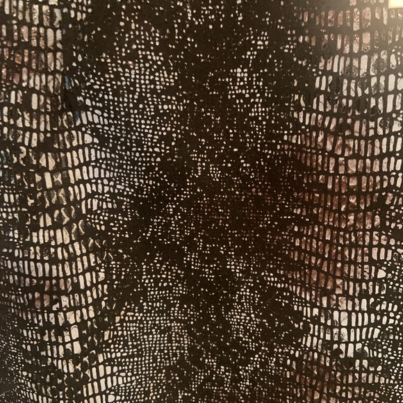 Python on the Run - Picture 5 of 5